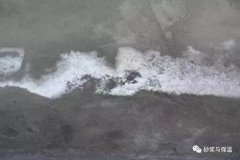 砂浆泛碱的现象是否与羟丙基甲基纤维素有关